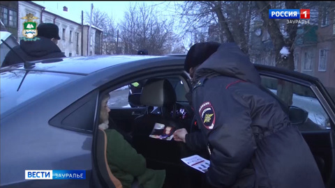 В Кургане перед судом предстанет банда автоподставщиков