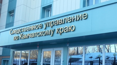 На Камчатке за смерть мальчика от укусов собак будут судить чиновницу