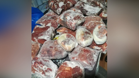Почти 140 килограммов мяса лося нашли у новосибирских браконьеров