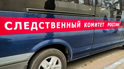 Неизвестный в Абакане выстрелил из пневматики в школьницу