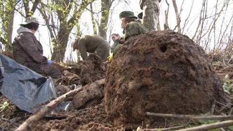 Костромские поисковики завершают "Вахту памяти 2020"