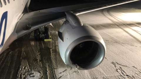 Авиалайнер Boeing 737 насмерть сбил медведя, бродившего по взлетной полосе