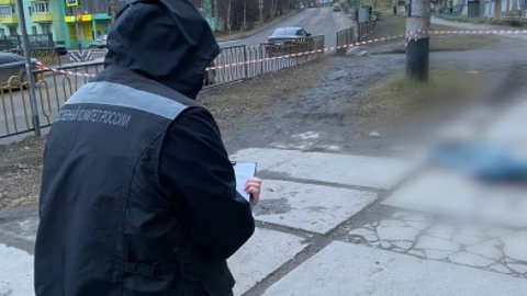 Мурманчанка погибла при падении из окна пятиэтажки