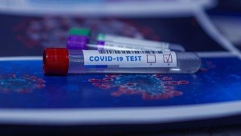 Результаты тестов на коронавирус новгородцам будут присылать на телефон