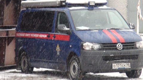 В Ленобласти мужчина насмерть забил свою 80-летнюю мать