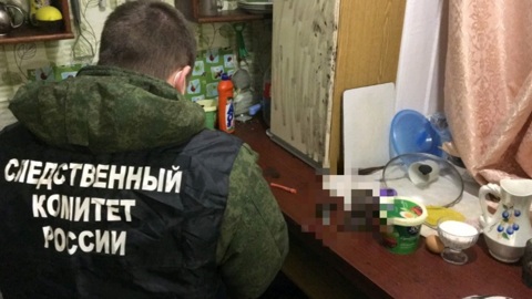Появились подробности о семье, где жил убитый в Энгельсе ребенок