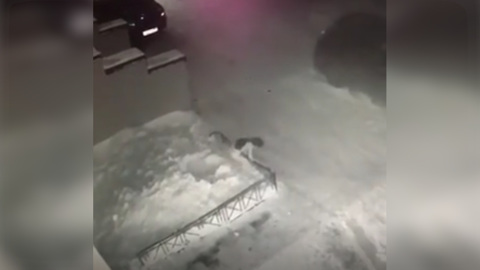 Упавшую с четвертого этажа девочку выписали из томской больницы
