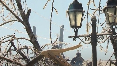 "Зеленые легкие" Владивостока могут не пережить ледяной катаклизм