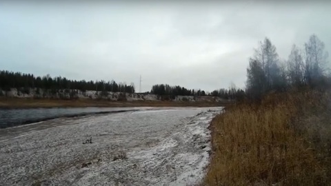 Растерзанное хищниками тело мужчины нашли под Ухтой