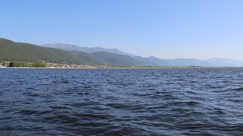 Бурятия получила 70 млн рублей на восстановление популяции омуля
