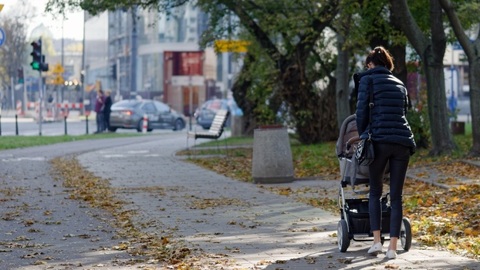 В Самаре росгвардеец спас мать с ребенком от стаи бездомных собак
