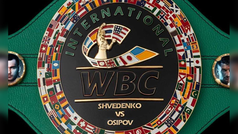 WBC International. Бой Шведенко и Осипова обслужат судьи из России