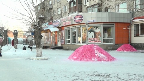 Бийские предприниматели превратили сугробы в арт-объекты