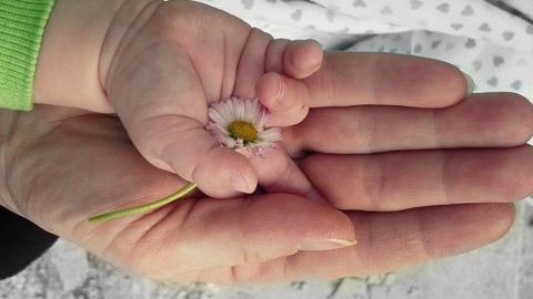 Полицейские узнали, где была пропавшая с годовалым ребенком жительница Воронежа