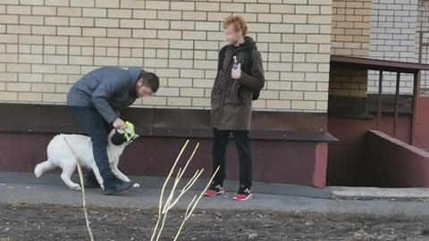 В Воронеже подростки распылили в лицо женщине перцовый баллончик