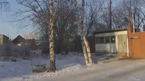 В Нижнем Тагиле введен карантин по АЧС