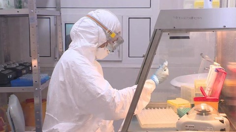Кубань вошла в список регионов со стабильной обстановкой по COVID-19