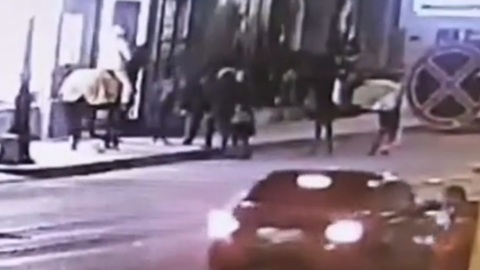 Лошадь откусила нос любвеобильному петербуржцу