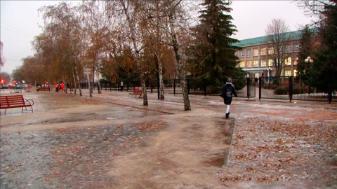 Активисты ОНФ помогли сохранить воинский мемориал под Воронежем. Вести