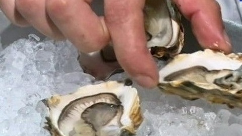 В Крыму за год на 30% выросло производство аквакультуры
