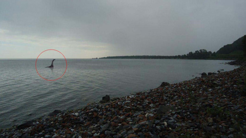 В вожегодском озере может обитать подводное чудовище