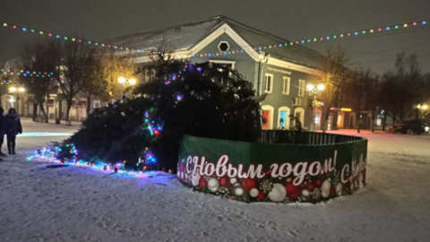 Под Санкт-Петербургом из-за непогоды упала городская елка
