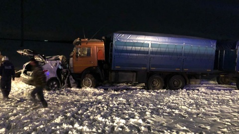 ДТП на донской трассе: родители погибли, дети в больнице