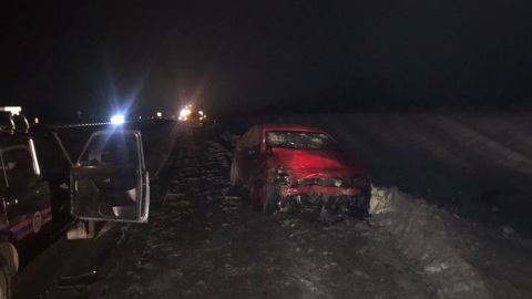 В ночном ДТП на донской трассе погибли мужчина и женщина, пострадал ребенок
