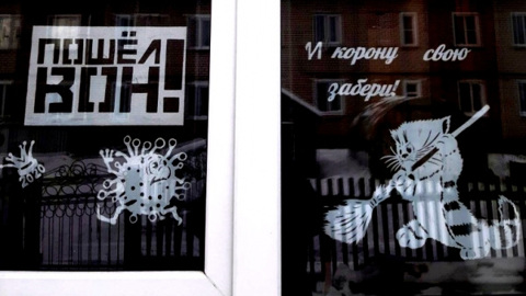 Коронавирус из Шарьи "изгоняет" кот с метлой