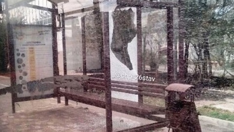 На Ставрополье выброшенная из окна елка обесточила целый микрорайон