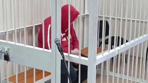 Чиновники в Иркутской области помогали бизнесмену в незаконной рубке древесины
