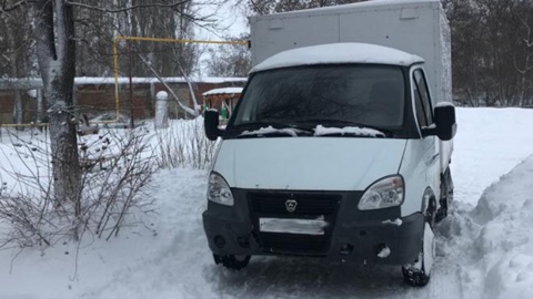 В Тамбовской области возле детского сада сбили двух детей