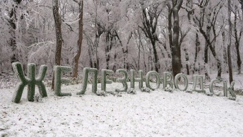 На месте погибших от мороза деревьев в Железноводске высадят дубы