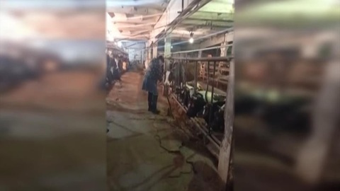 В Игарке работники агропредприятия 3 месяца не получают зарплату