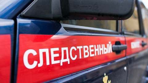 СК проверит информацию о сексуальном надругательстве над сибирячкой-инвалидом