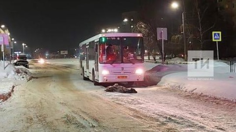 В Нижнекамске автобус сбил на зебре пенсионерку