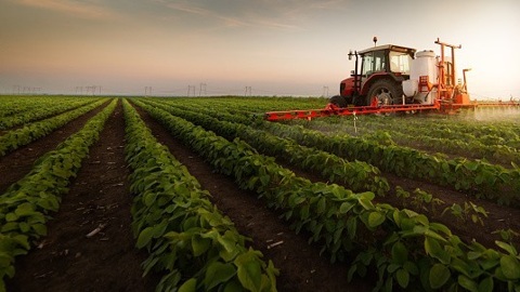 Экспорт сельхозпродукции Ставрополья с начала года составил 10 млн долларов