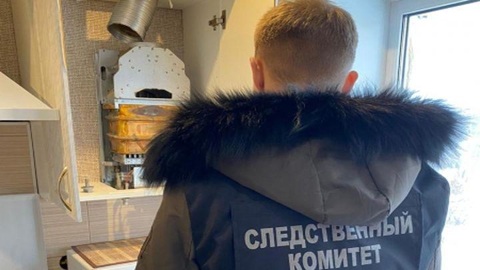 Пара отравилась газом в одной из квартир Тулы