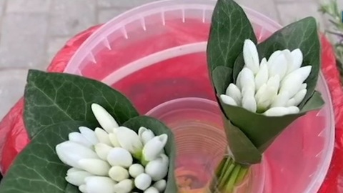 За каждый сорванный подснежник в Севастополе граждане заплатят по 300 рублей