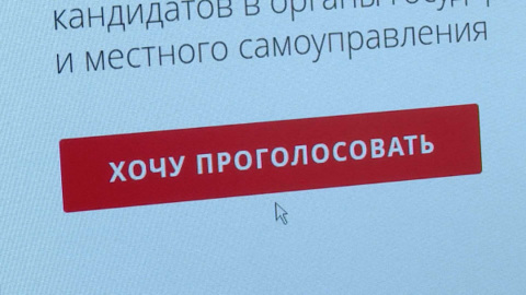 Электронное голосование узаконили в Костромской области