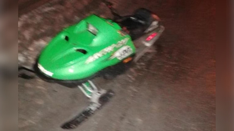 В Екатеринбурге снегоход попал под грузовик, два человека погибли