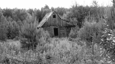 На заброшенном огороде пьяный сибиряк надругался над 16-летней девочкой