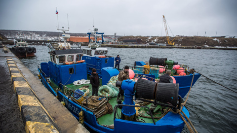 В России упали оптовые цены на минтай