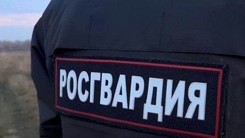 Житель Пензы осужден за ложный донос на полицейского