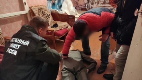 В Саратовской области мужчина убил мать из-за спрятанного телефона