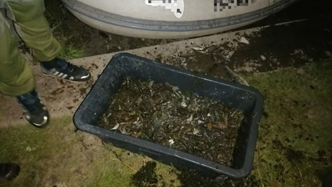 Браконьера из Нижегородской области осудили за ловлю марийских раков