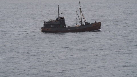 В заповедной зоне акватории Баренцева моря задержали браконьеров