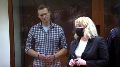 "Гарри Поттер" не спас Алексея Навального