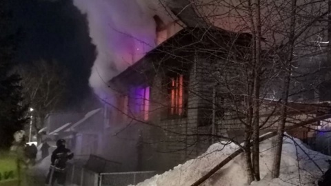 Мужчина с маленьким сыном заживо сгорели в Димитровграде