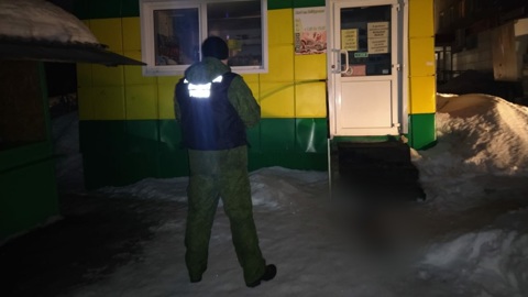 Тело ребенка в нижнем белье обнаружили на улице в Вольске